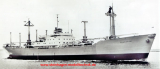 GFK Rumpf MS TRANSVAAL Frachtschiff - 1:100
